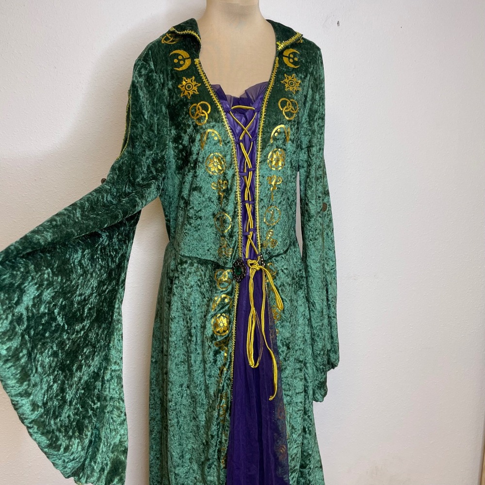 Witchy Whimsigoth Costume Dress Medium Renaissance Cosplay  Green Purple